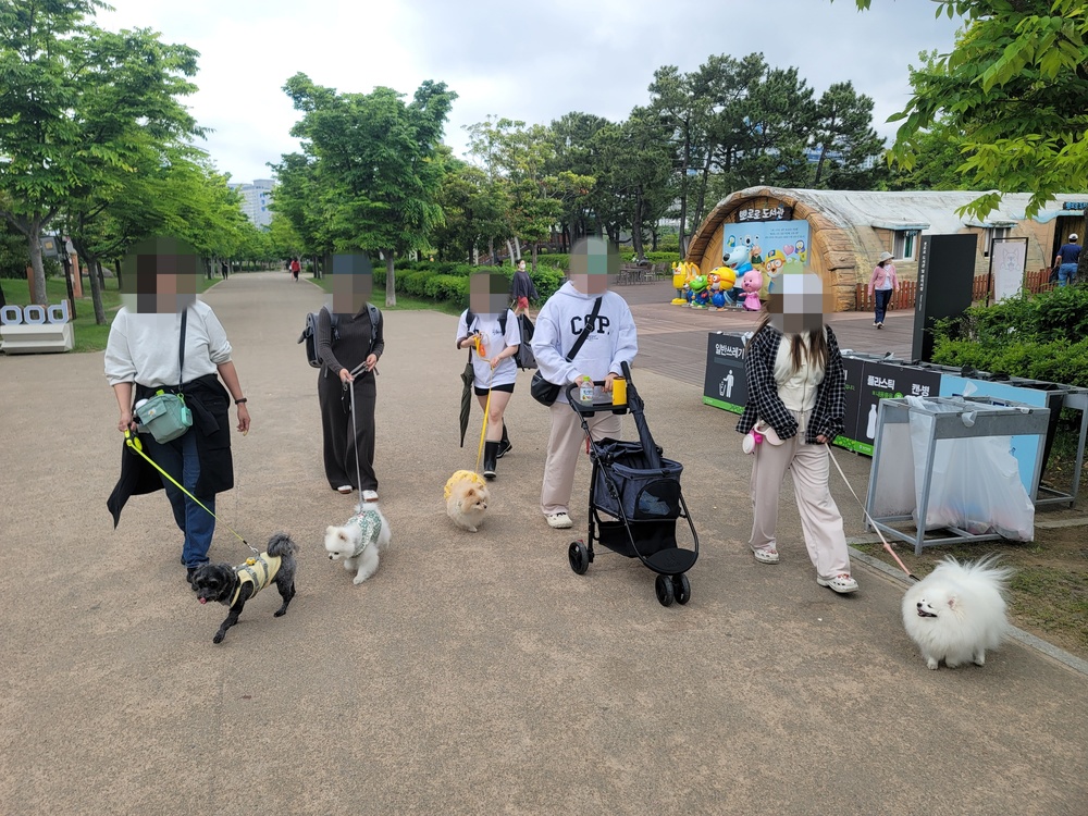 이미지 대체문구를 입력하세요