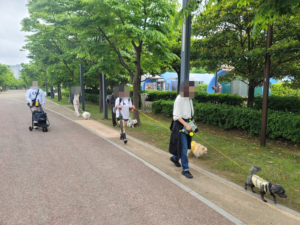 이미지 대체문구를 입력하세요