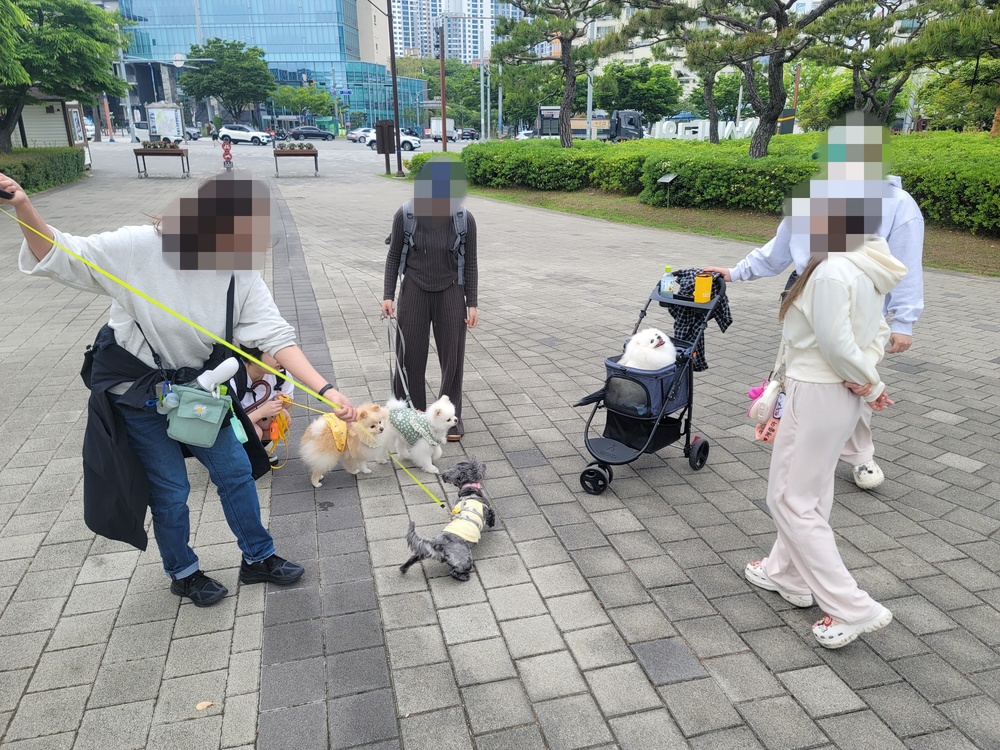 이미지 대체문구를 입력하세요