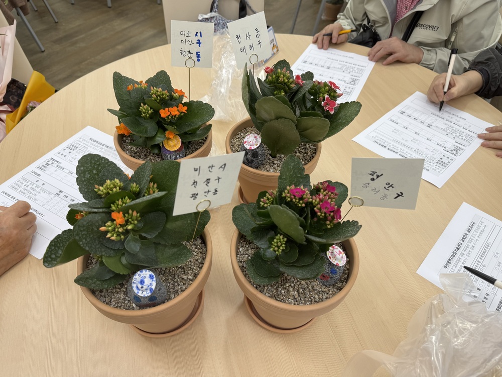 이미지 대체문구를 입력하세요